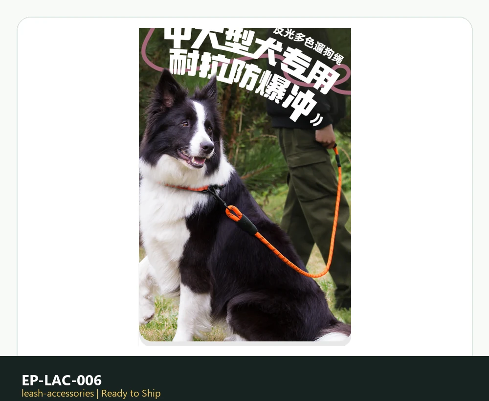 EP-LAC-006 Model 253 Leash & Accessories product image