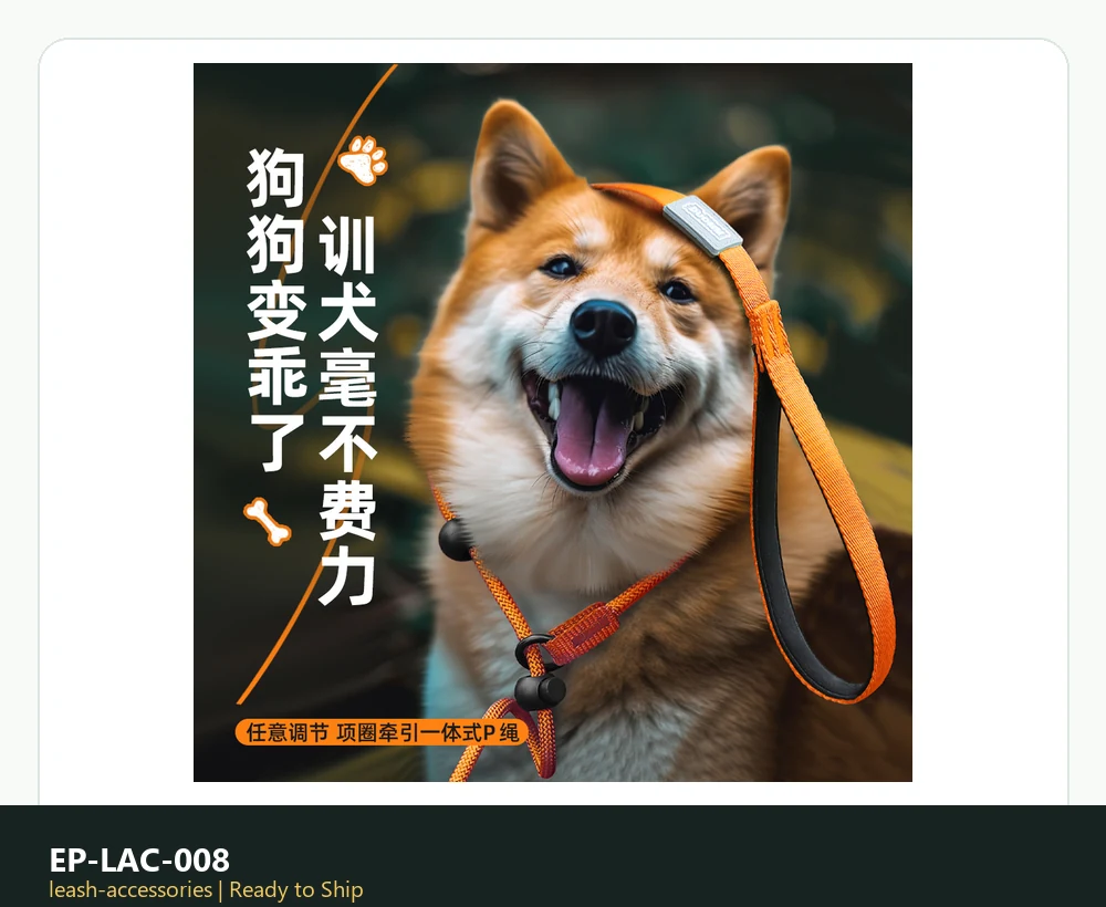 EP-LAC-008 Model 209 Leash & Accessories product image