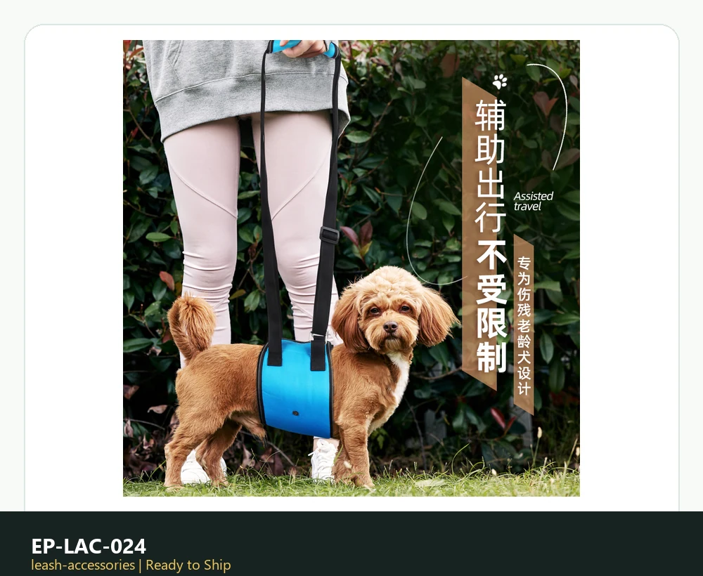 EP-LAC-024 Model Z5002 Leash & Accessories ready-to-ship product photo
