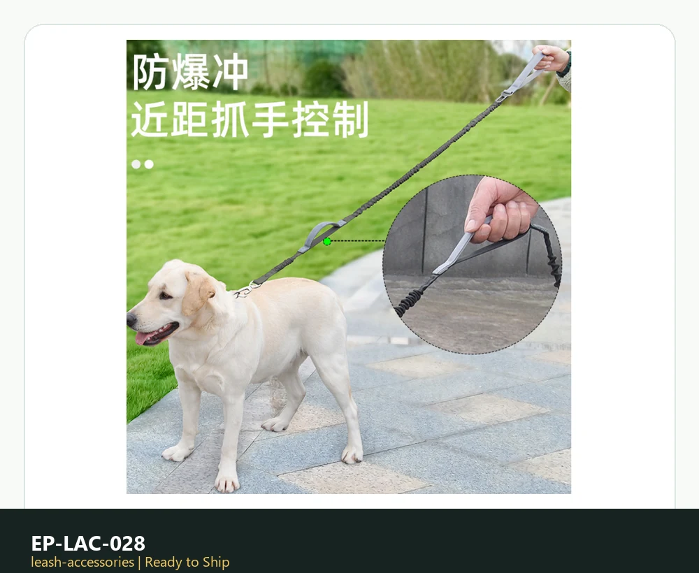 EP-LAC-028 Model 206 Leash & Accessories product image